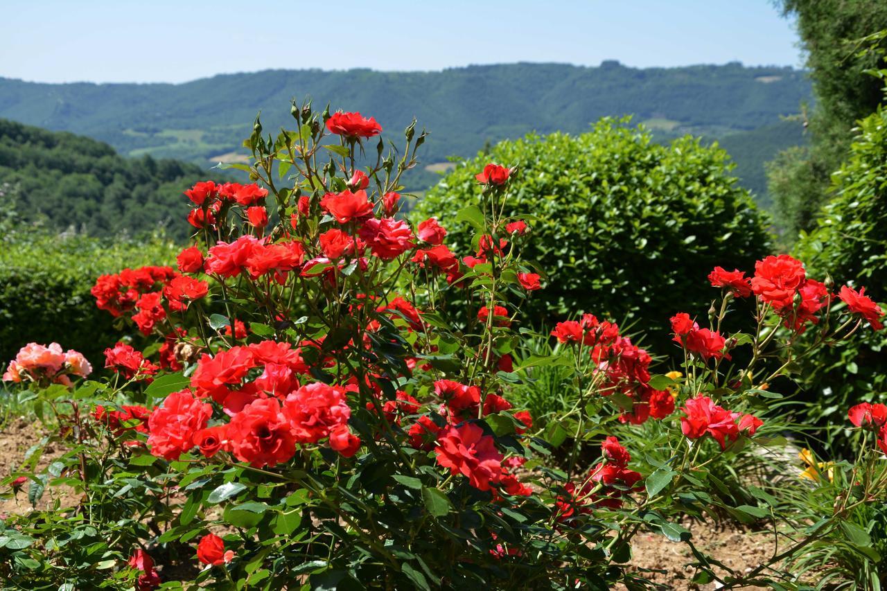 Il Poggiolo Di Parrano Guest House Luaran gambar