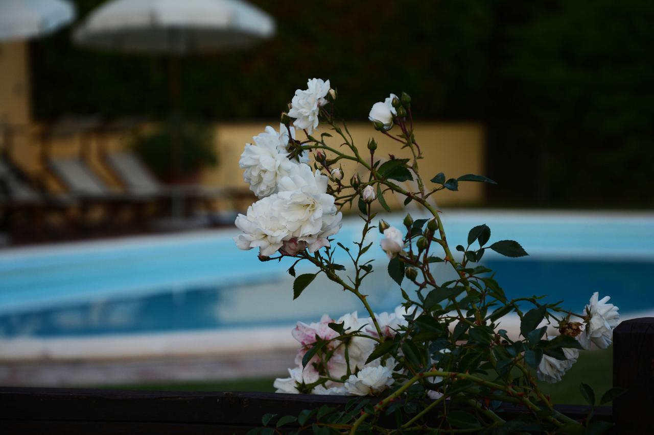 Il Poggiolo Di Parrano Guest House Luaran gambar